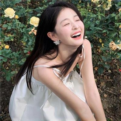 小象守护者
