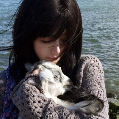 女作家与谋杀案第十季
